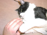 sC^2008-4 027.jpg