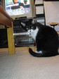 sC^2008-4 037.jpg