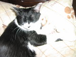 sC^2008-4 038.jpg