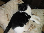 sC^2008-4 041.jpg