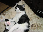 sC^2008-4 044.jpg