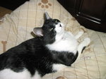 sC^2008-4 046.jpg