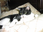 sC^2008-4 050.jpg