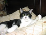 sC^2008-4 051.jpg