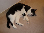 DSC00026.JPG