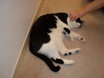 DSC00027.JPG