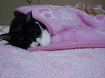 DSC00045.JPG