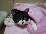 DSC00047.JPG