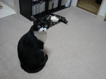 DSC00052.JPG