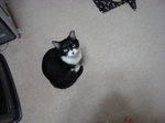 DSC00053.JPG