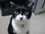 DSC00054.JPG