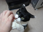 DSC00055.JPG