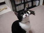 DSC00057.JPG