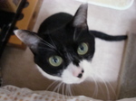 DSC00058.JPG